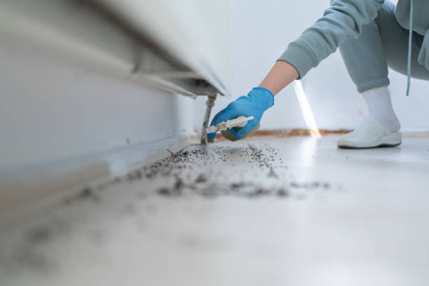 Best Pest Inspection Near Me  in Saylorville, IA