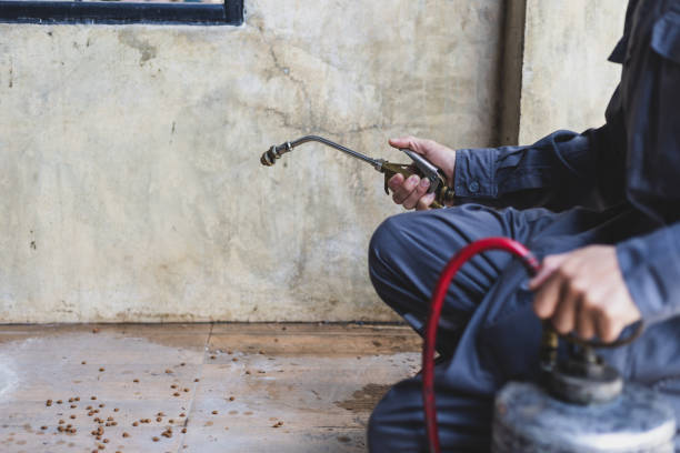 Best Residential Pest Control  in Saylorville, IA